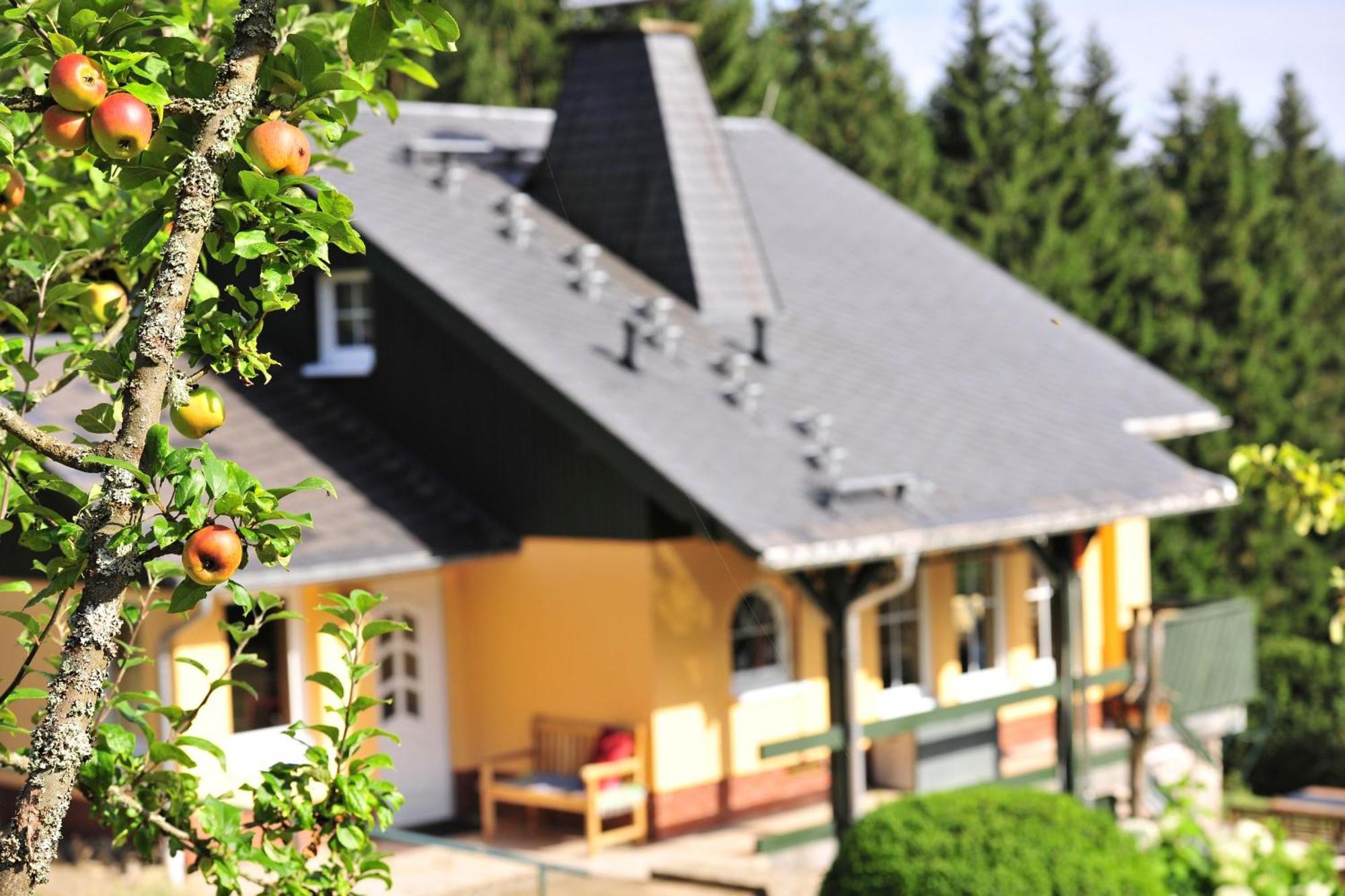 Exklusives Ferienhaus "Waldzauber" Ruhe Und Natur Pur Am Waldrand Geniessen Schoenheide ภายนอก รูปภาพ